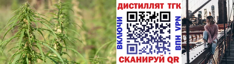 дарнет шоп  Новосибирск  Дистиллят ТГК THC oil 