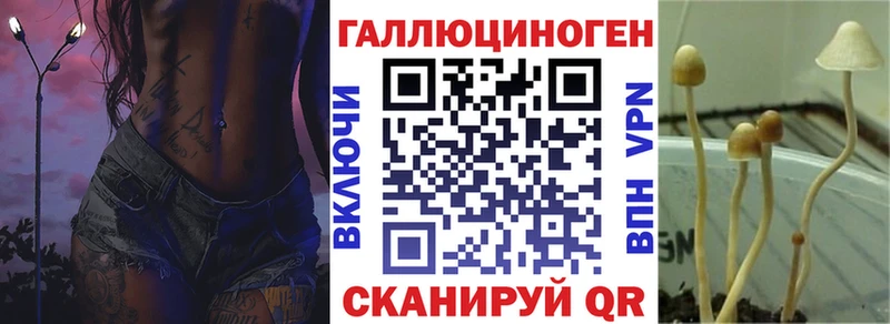 Галлюциногенные грибы ЛСД  Новосибирск 