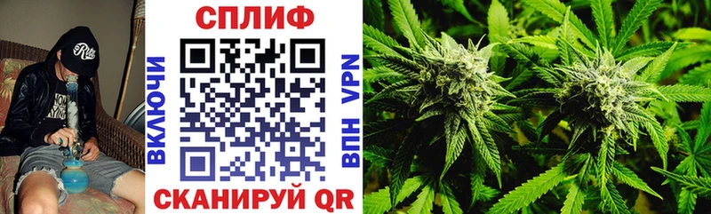 где продают наркотики  kraken маркетплейс  Каннабис конопля  Новосибирск 